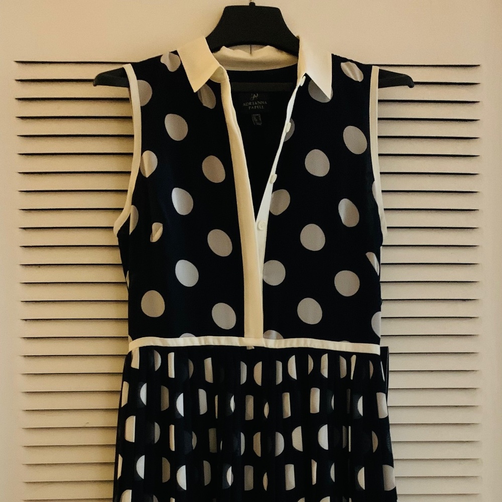 Polka Dot Pleated Dress